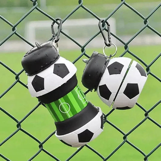 Quels sont les joueurs qui ont remporté le Ballon d'Or ? - Gourde Bottle®