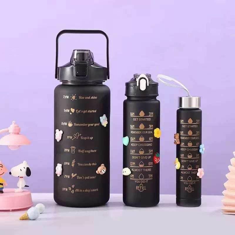 Lots de 3 gourde de motivation, sans BPA , réutilisables - gourde bottle