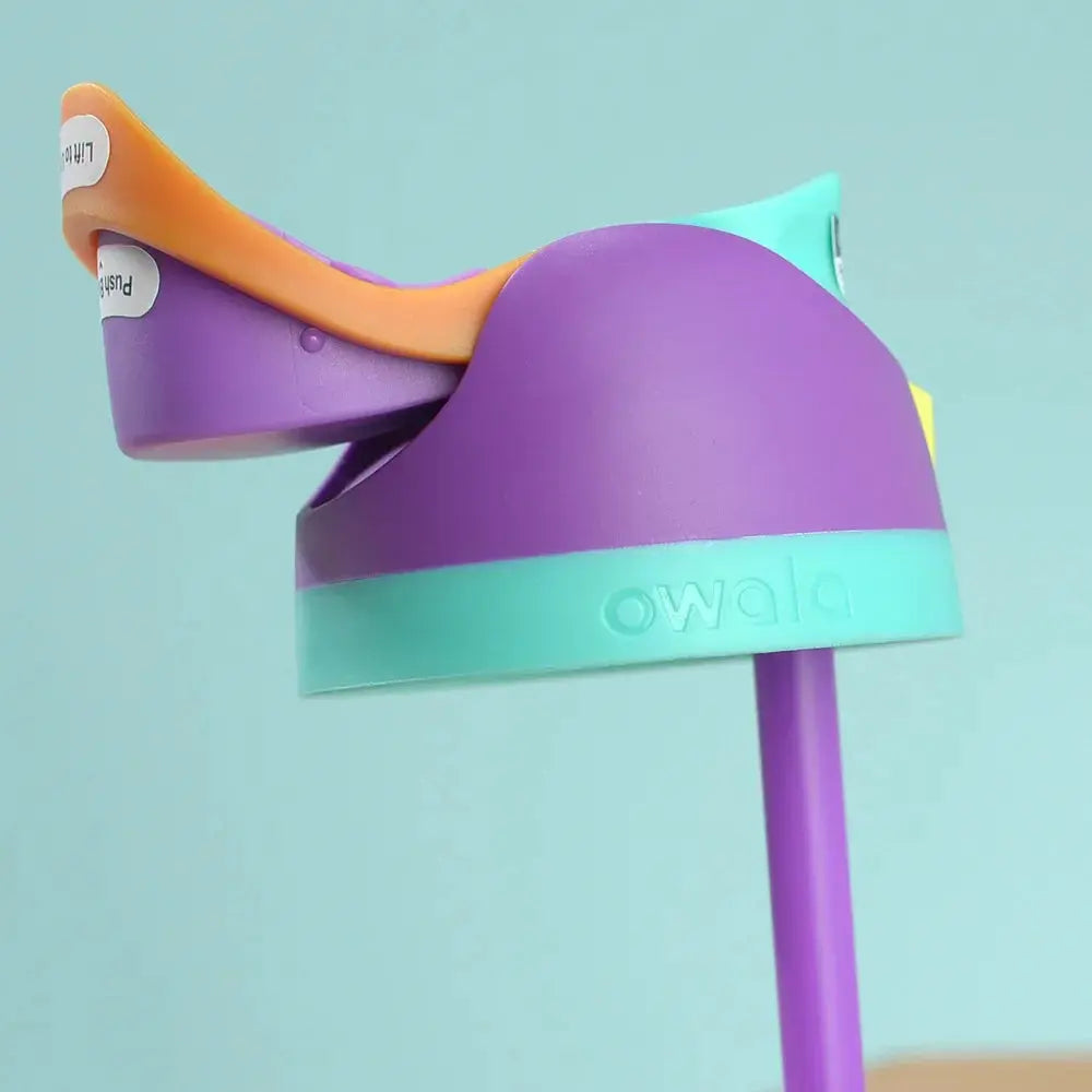 Gourde Owala Bow Noir 950ml Gourde Bottle®