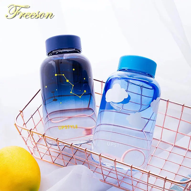 Gourde d'Eau en Verre Borosilicate avec Manchon 600ml, Bouteille en Verre Borosilicate 600ml, Gourde Verre en forme de Manchon, Bouteille D'eau en Verre Animaux 1 Litre Gourde Bottle®